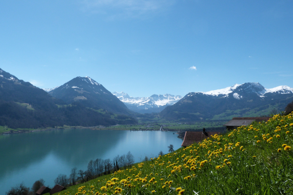 Offre d'été