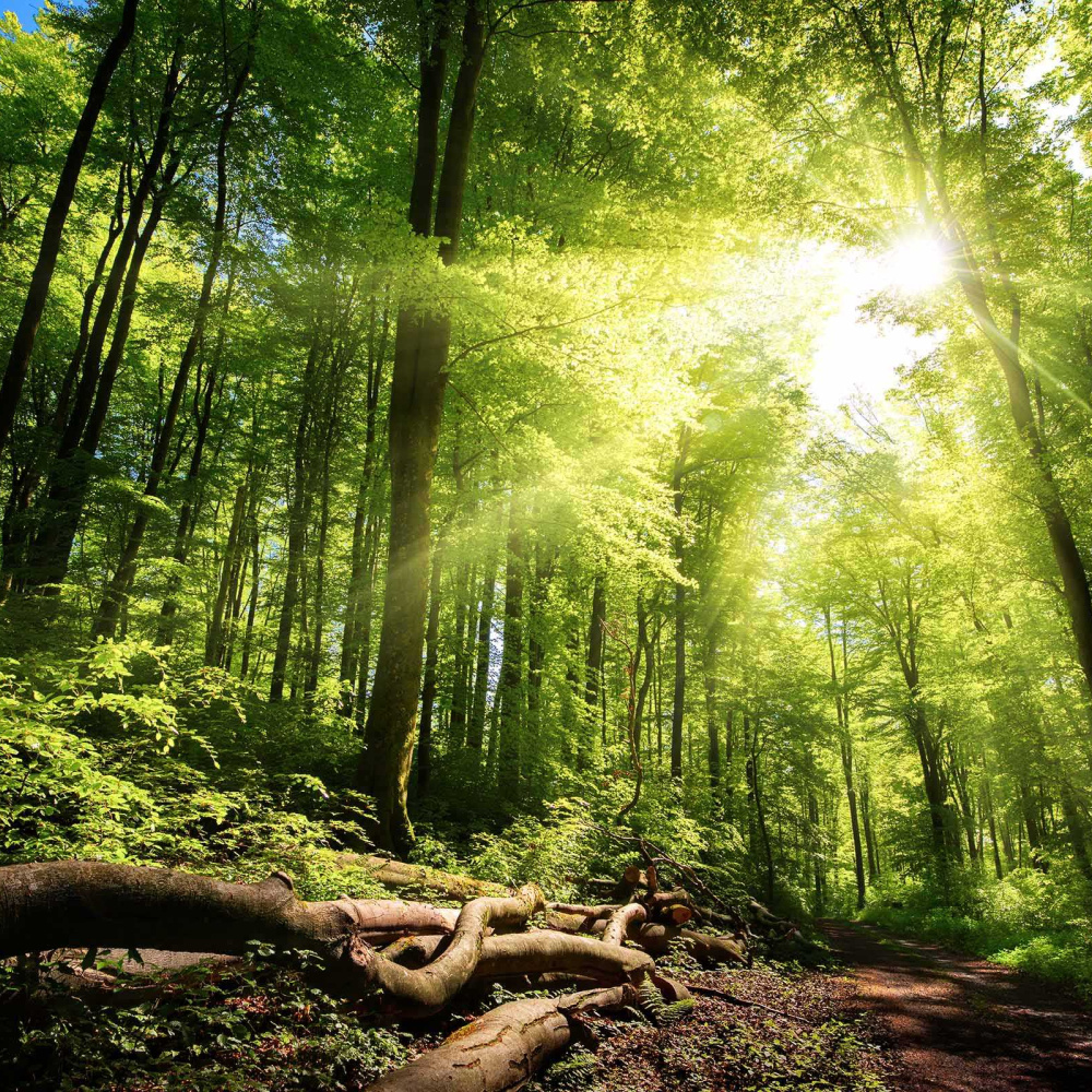 Durable pour l'avenir