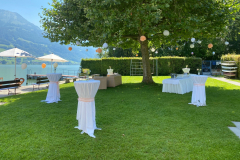 Heiraten-am-See-Seehotel-Wilerbad-Seminar-Spa-32